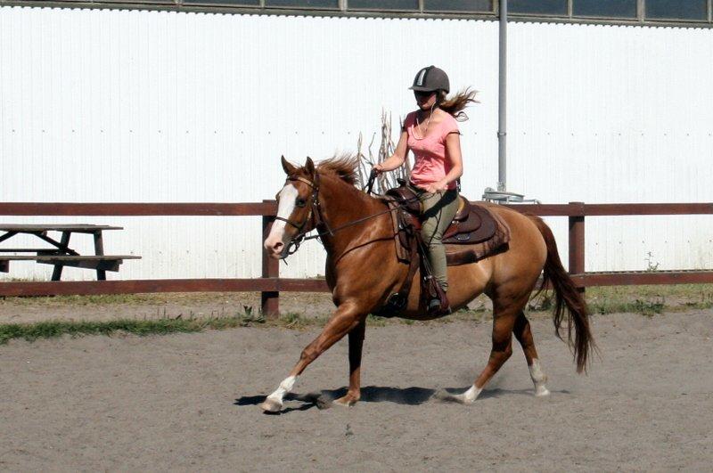 Paint Miss Dakota Salsa - Solgt billede 2