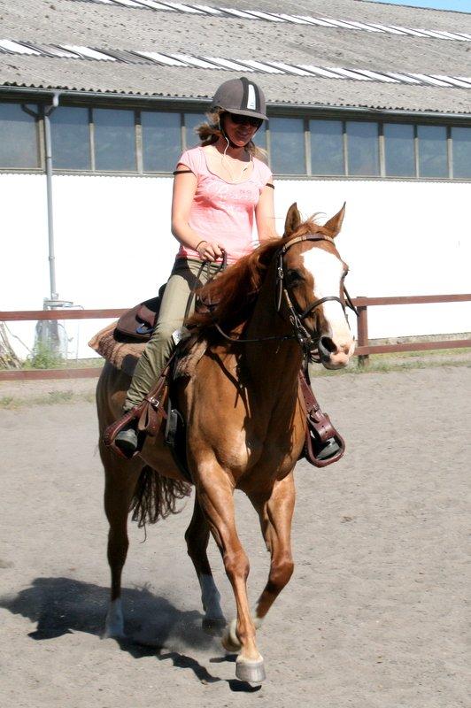 Paint Miss Dakota Salsa - Solgt billede 18