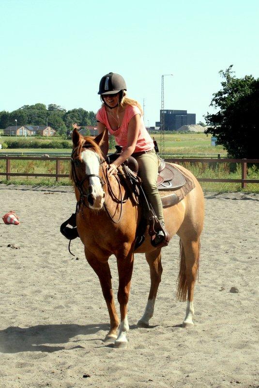 Paint Miss Dakota Salsa - Solgt - Smukke Sally billede 6