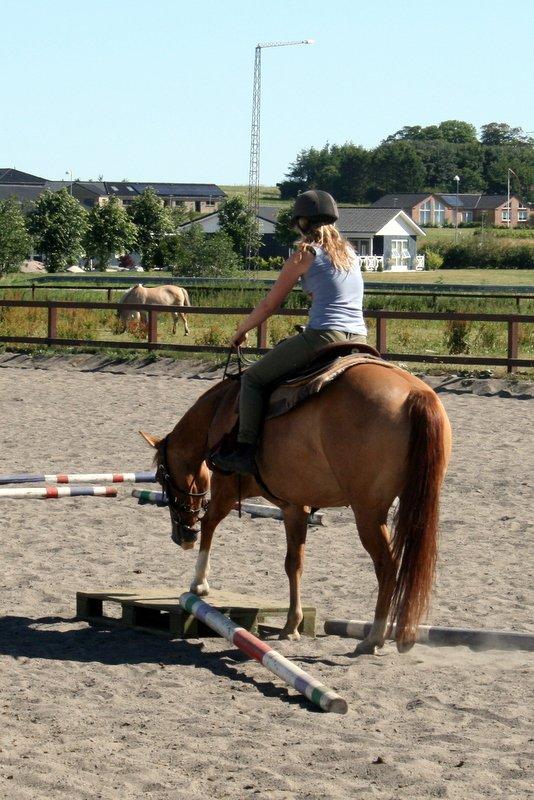 Paint Miss Dakota Salsa - Solgt billede 20