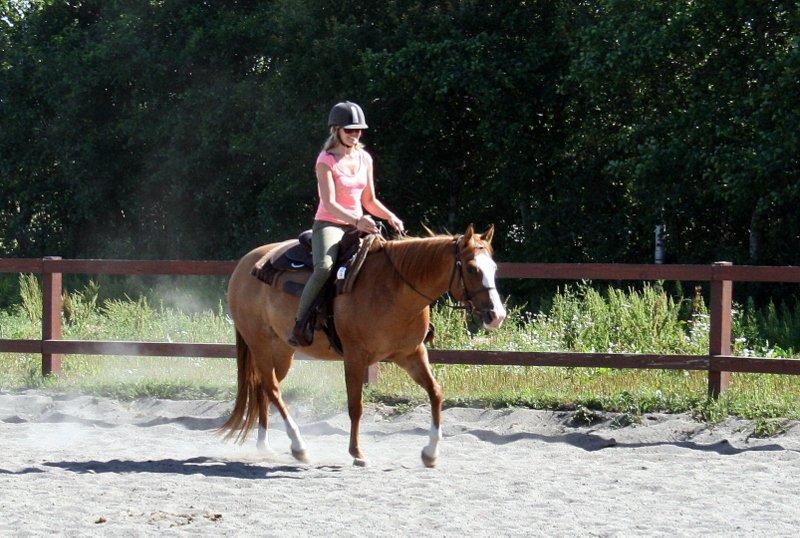 Paint Miss Dakota Salsa - Solgt billede 12