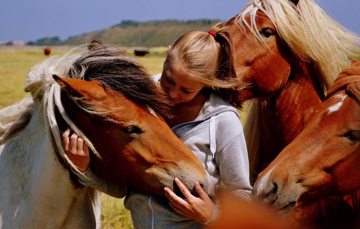 Islænder Mímir fra Havshøj - Never ask why I love you, just accept that I do, and that I will for the rest of my life. billede 19