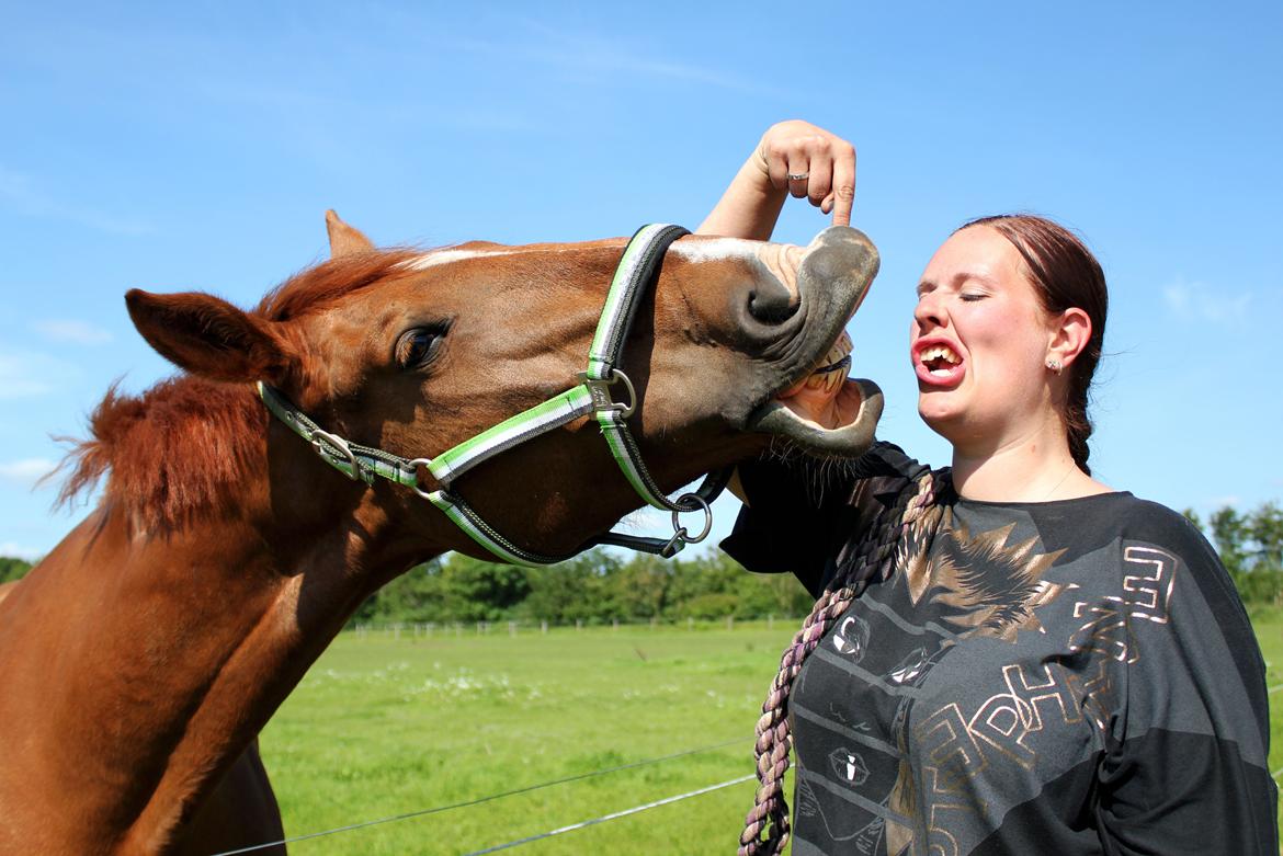 Anden særlig race Athene (SOLGT) - Ha ha, vi er så yndige :D billede 29