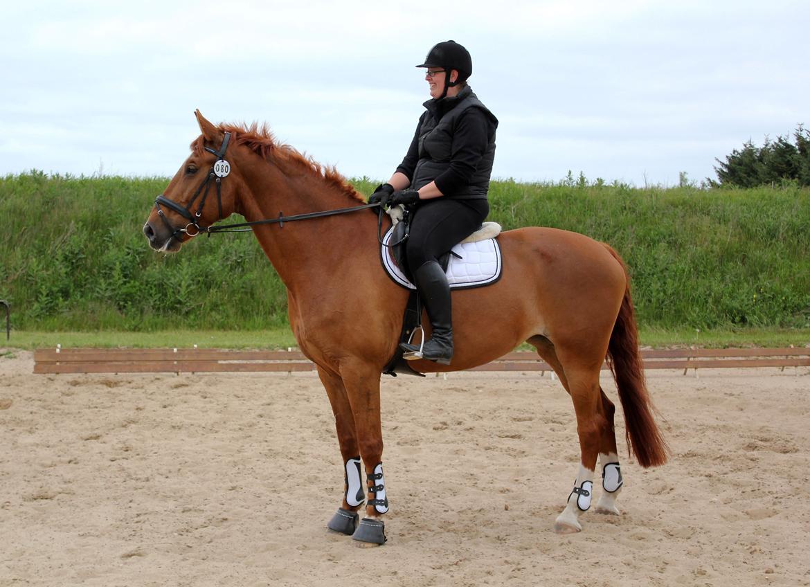 Anden særlig race Athene (SOLGT) - Første gang jeg sad på hende, da jeg var ude at prøve hende d.8 juni :) billede 26