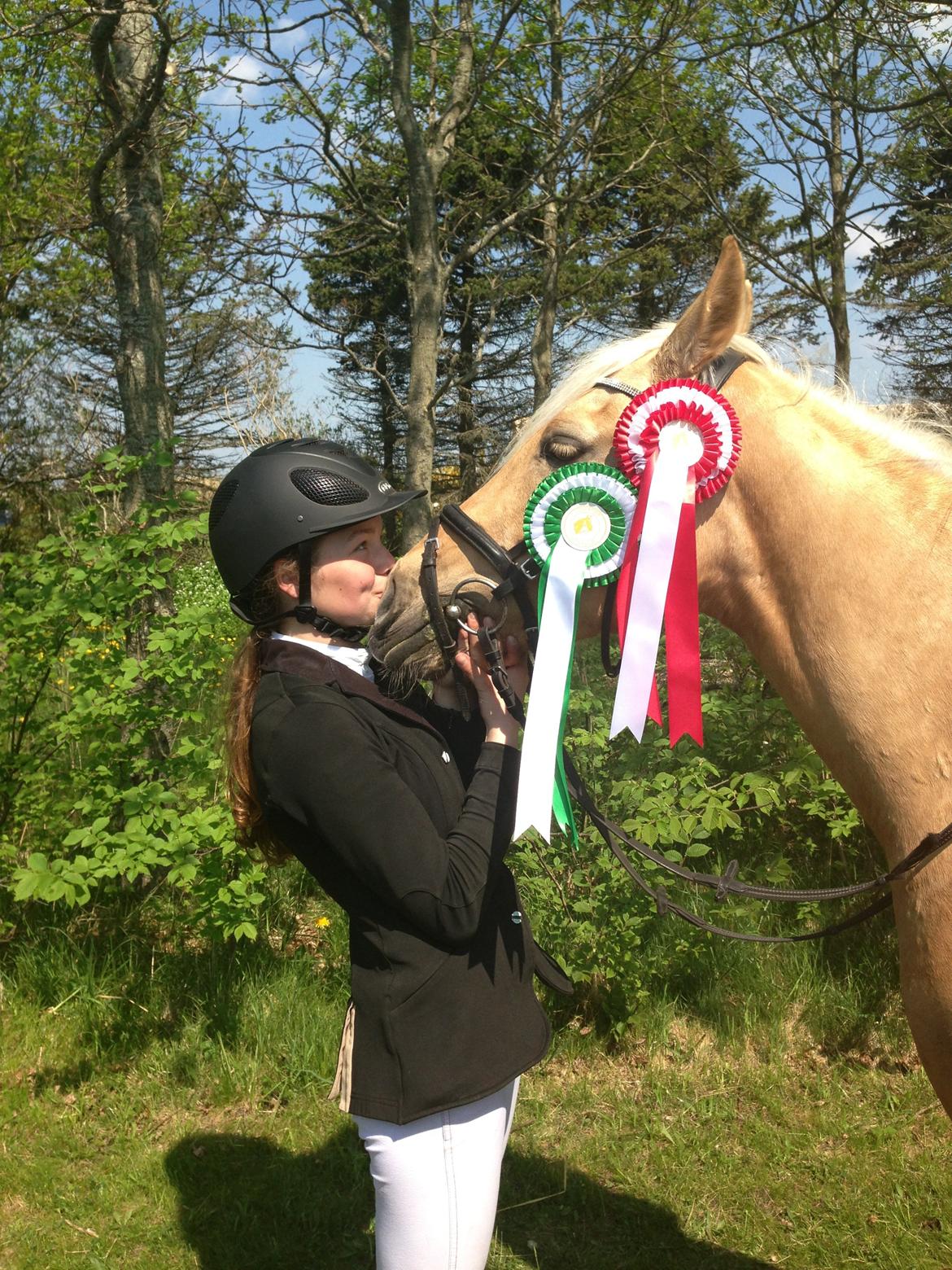 Anden særlig race Gloria (SOLGT) - Du gør det godt skat!<3 billede 13