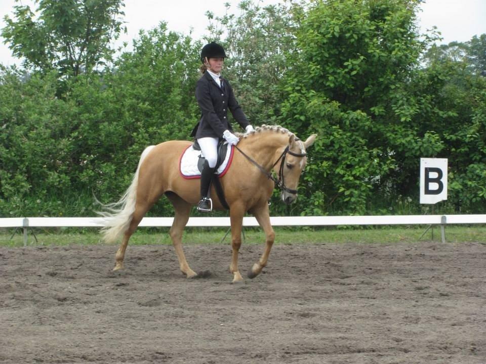 Anden særlig race Gloria (SOLGT) - Vores første LA1! Du fantastisk skat <3 billede 16