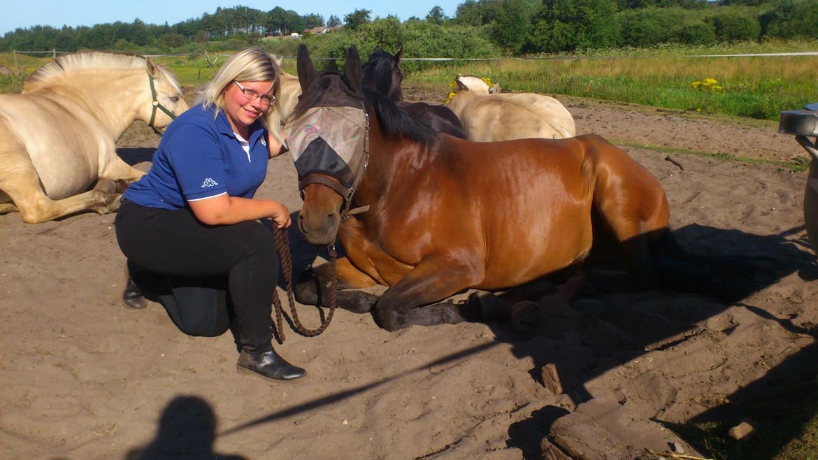 Anden særlig race Sibiriens Chestar billede 8
