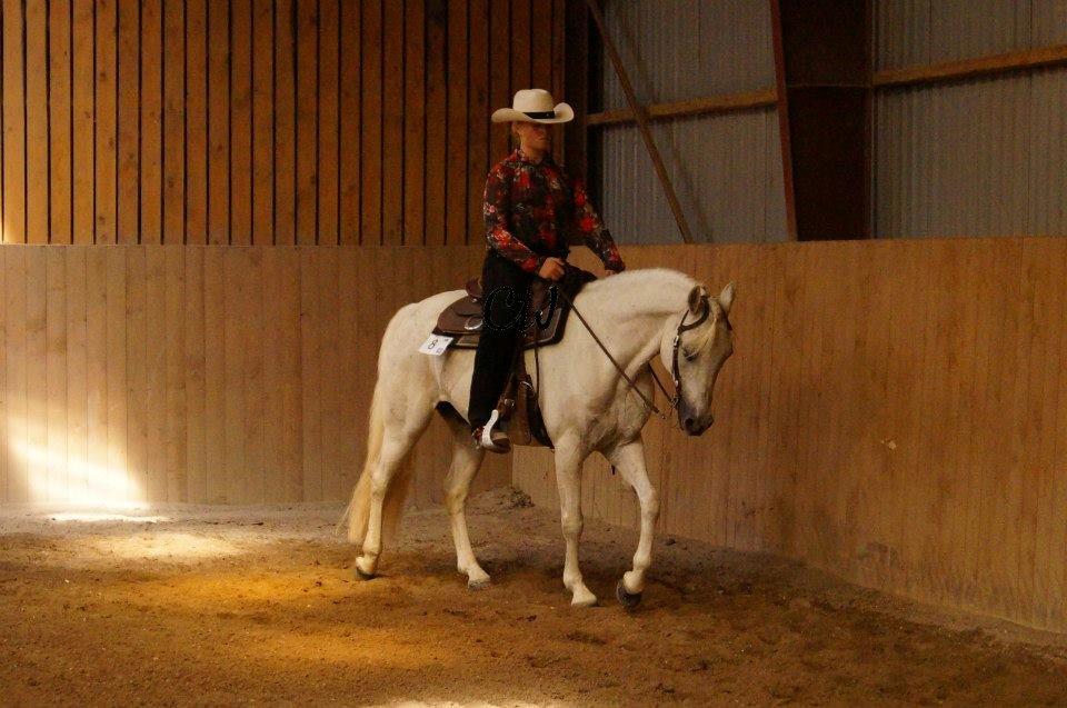 Connemara Solvang's Bastian - Pleasure på Good time ranch d 14 juli 2013. billede 8
