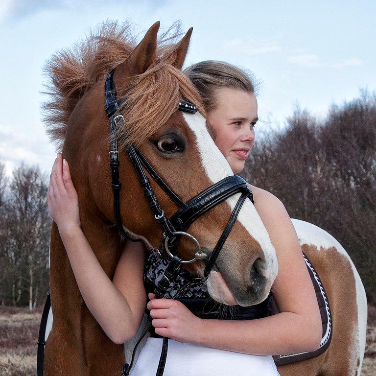 Pinto Bredkærgaards Sandro - Min konfirmation 2013<3 billede 20