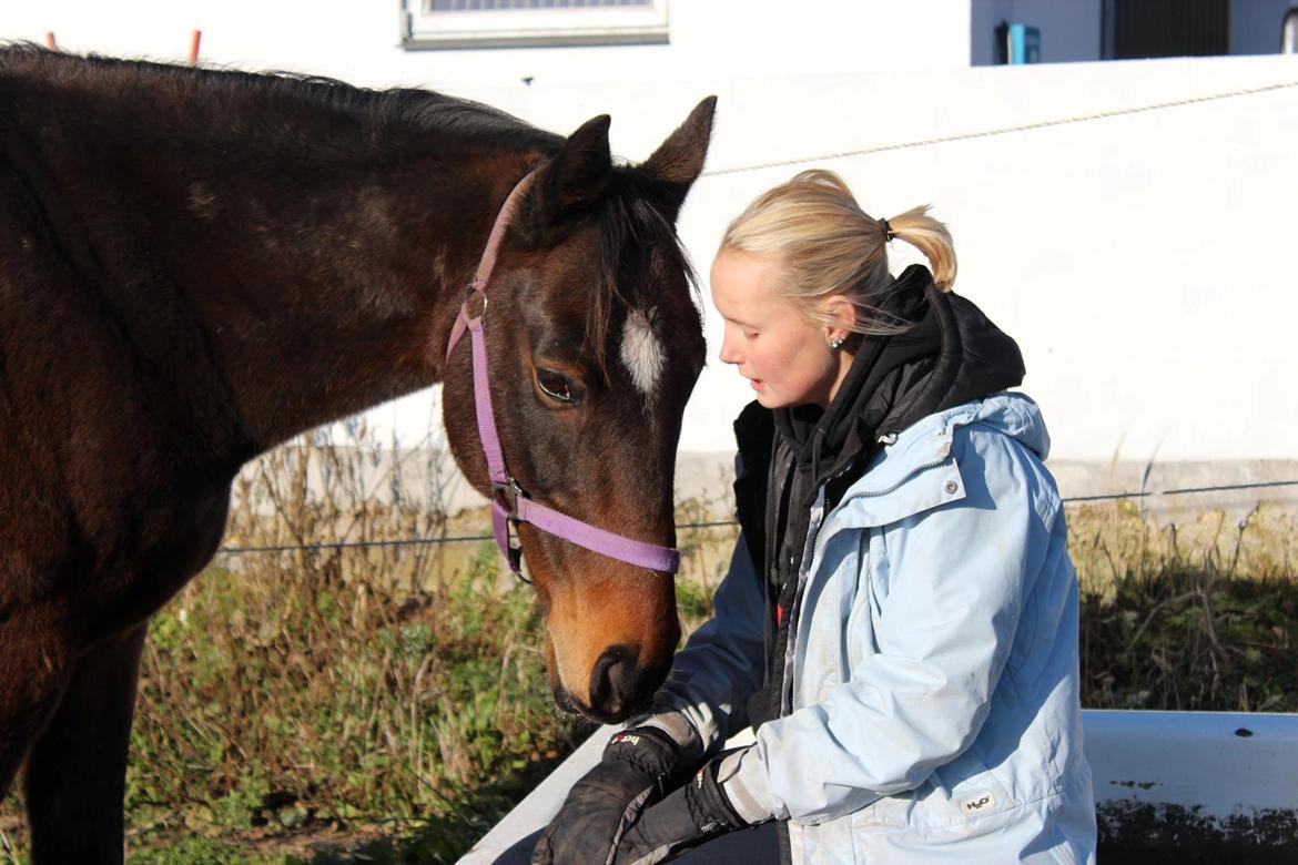 Anden særlig race Dark Stallion - Nogle forhold er som Tom & Jerry, de driller hinanden, de vælter hinanden, de irritere hinanden, men de kan ikke leve uden hinanden, fordi de elsker hinanden <3 billede 10