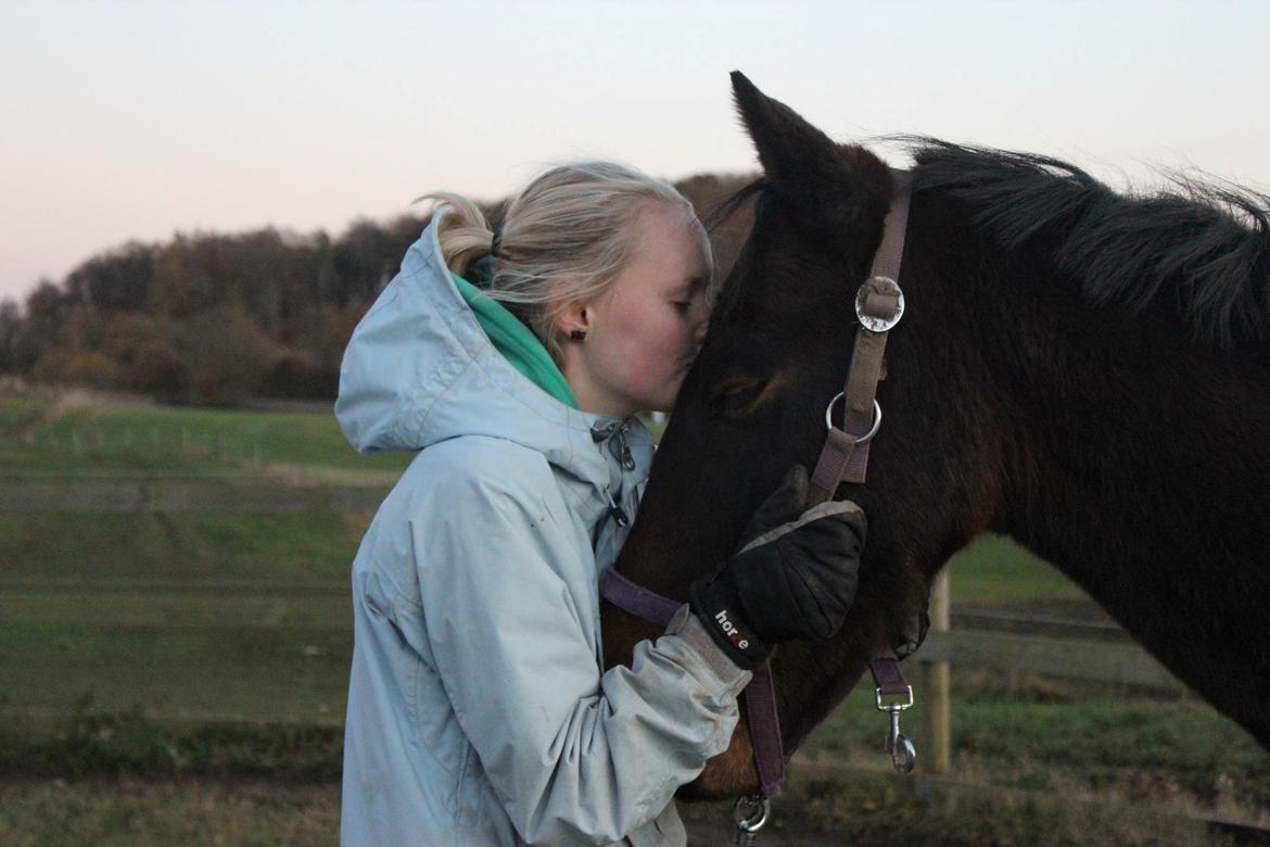 Anden særlig race Dark Stallion - Good friends are like stars. You don't always see them, but you know they're always there! billede 1