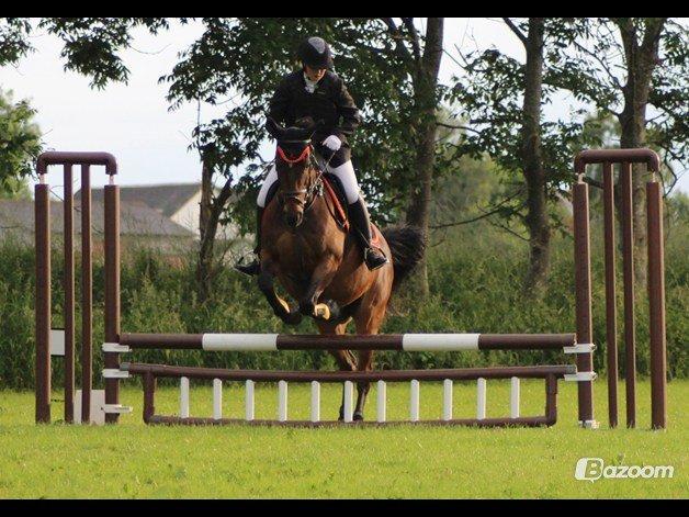 Anden særlig race Dark Stallion - Stævne TNKR - 70 cm :-) billede 2