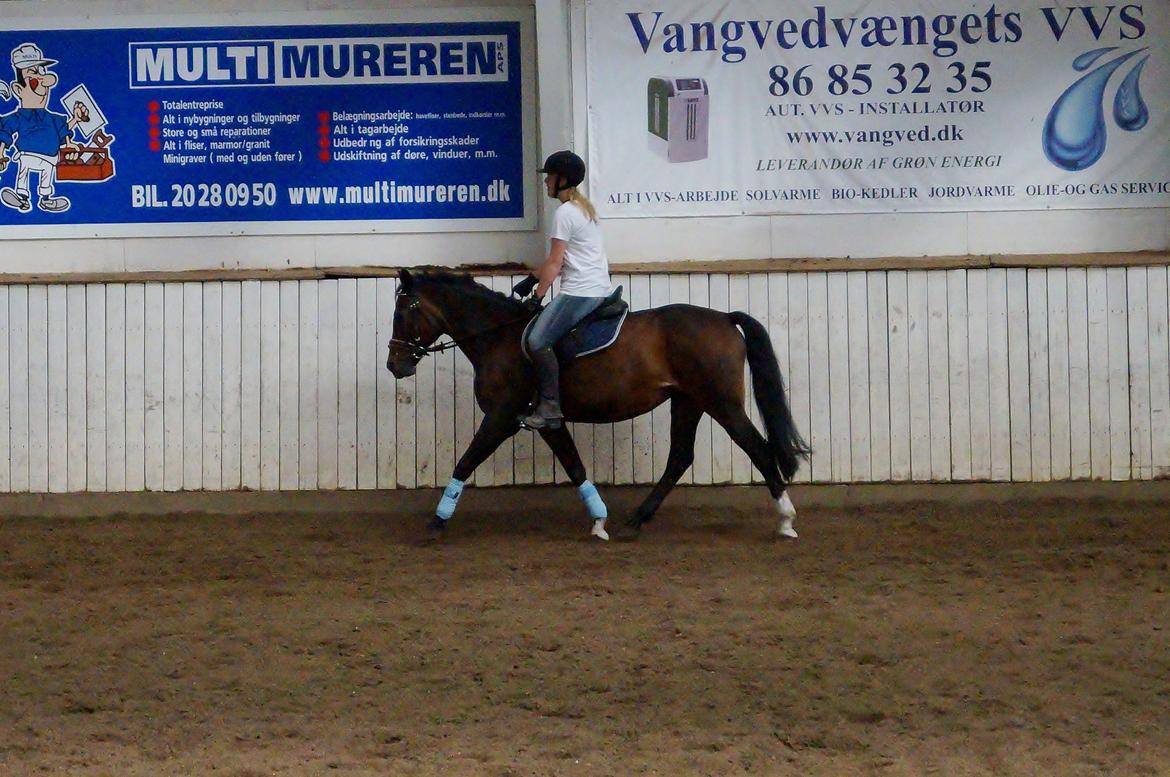 Anden særlig race | Chance - Efter at have været på sommerfold i ca. 3 uger, bliver hun nu kaldt "Gummibolden" xD 

Juli 2013 ♥  billede 7