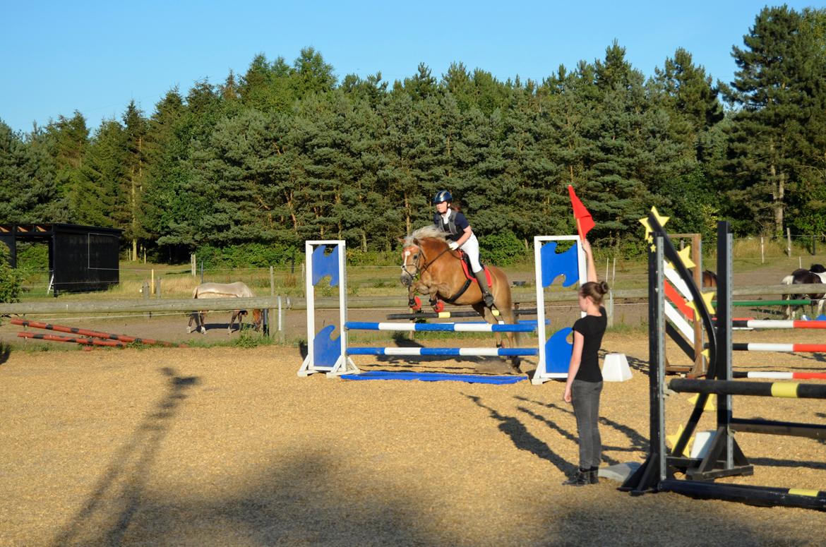 Haflinger Abbi rundhøj - 24-07-2013, Kongsvad Rideklub Thorsager, 80 cm, vandgrav billede 8