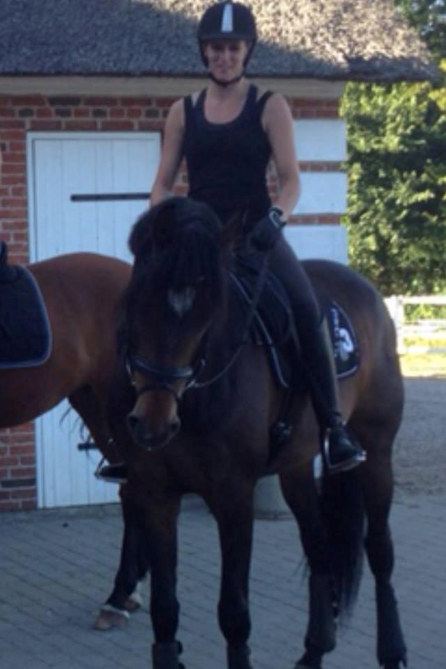 Dansk Varmblod Lunderup's Larina RDH billede 1