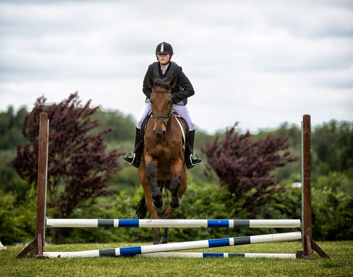 Anden særlig race Ricki billede 9