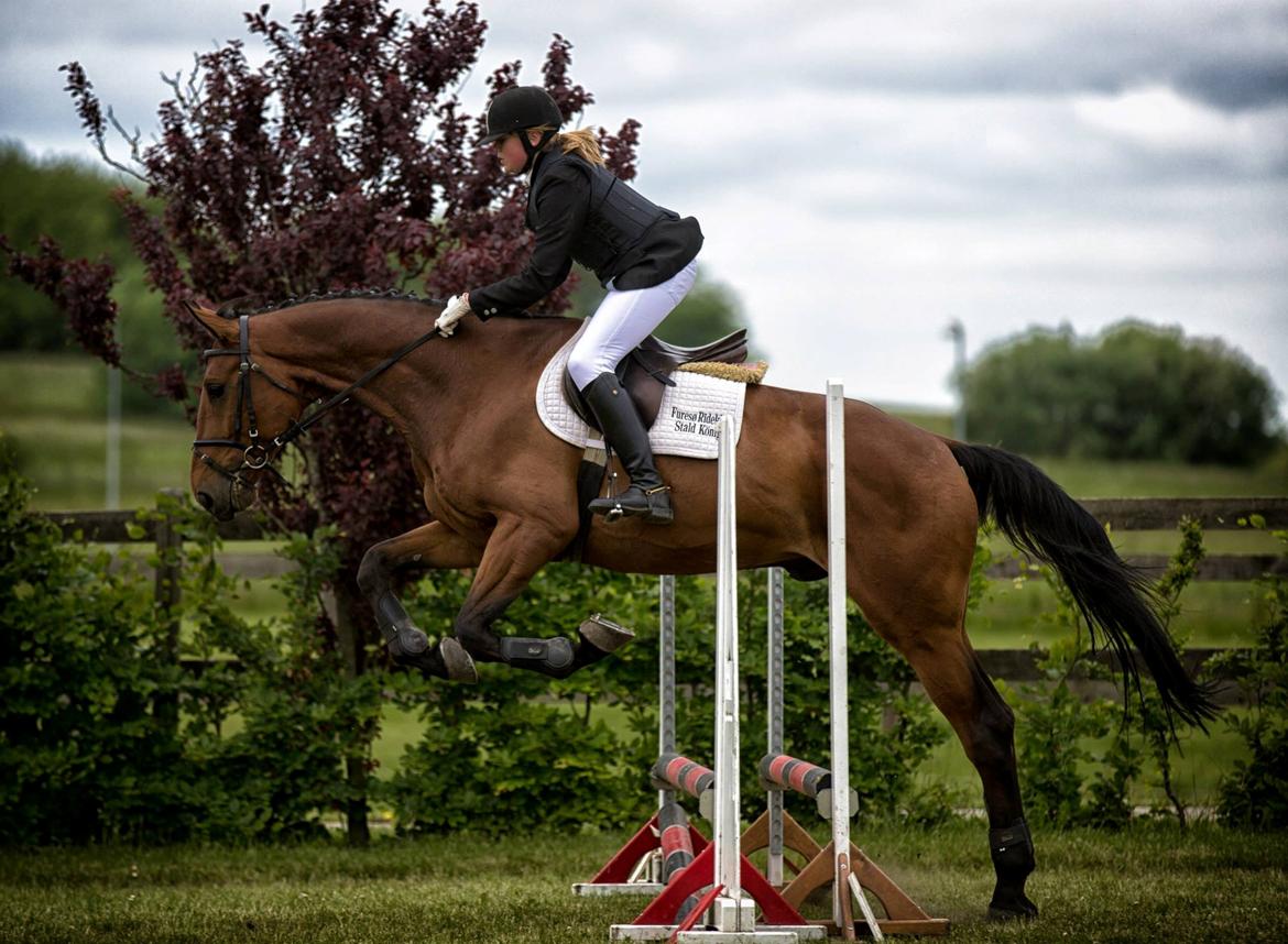 Anden særlig race Ricki - Mig og Ricki´s første stævne han var såå fantastisk og mega sød<3
det bedste billed der er taget af mig og Ricki<3<3 billede 10