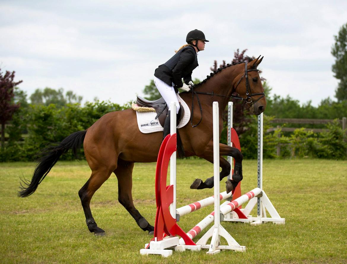 Anden særlig race Ricki billede 11