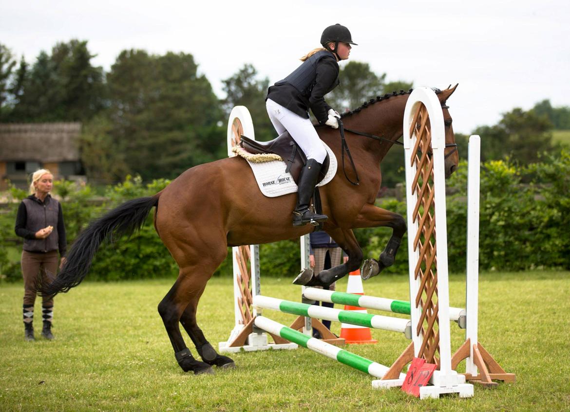 Anden særlig race Ricki billede 13