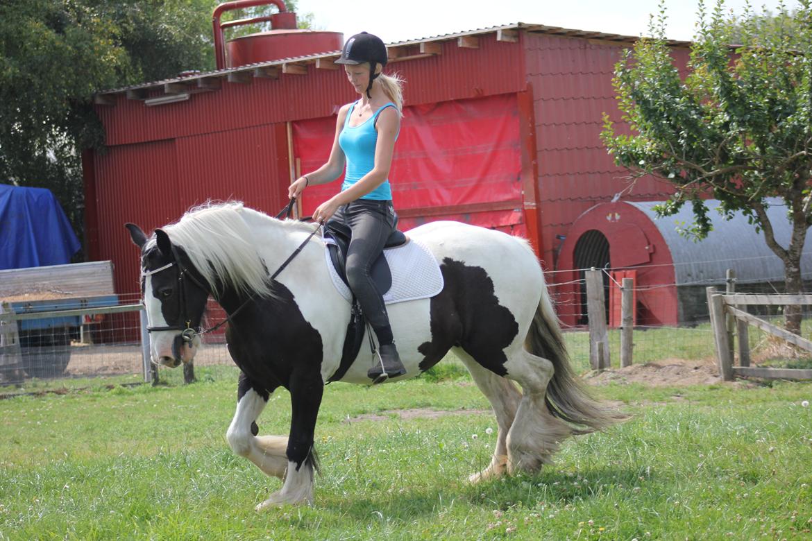 Tinker Madigan billede 14