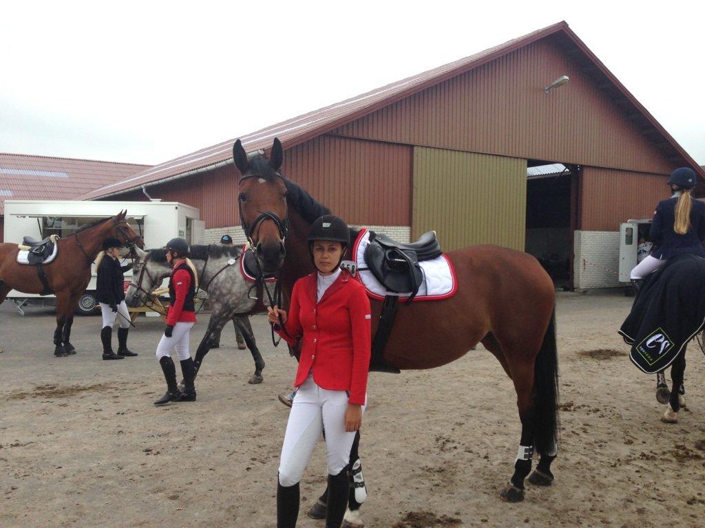 Dansk Varmblod Halina L. - Fotogen? billede 4