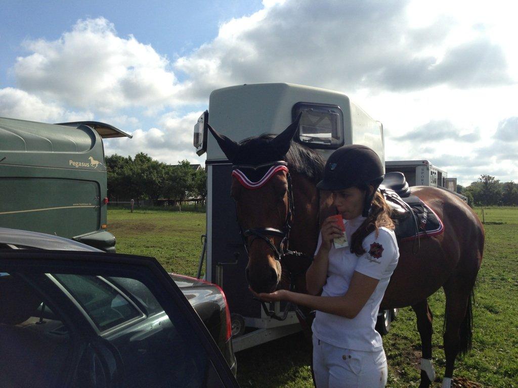 Dansk Varmblod Halina L. - MUMS! Æblejuice - det er lige mig :P billede 12