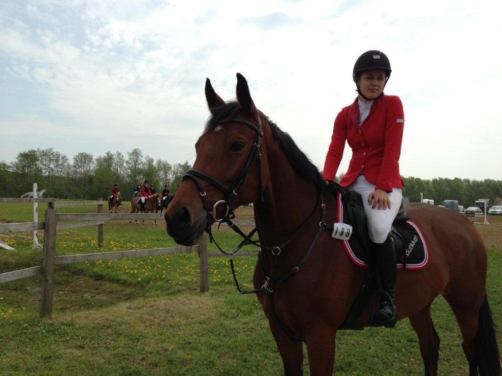 Dansk Varmblod Halina L. - Til stævne i Kolding - tjekker lige banen ud, så jeg kan hjælpe min mooar :) billede 15