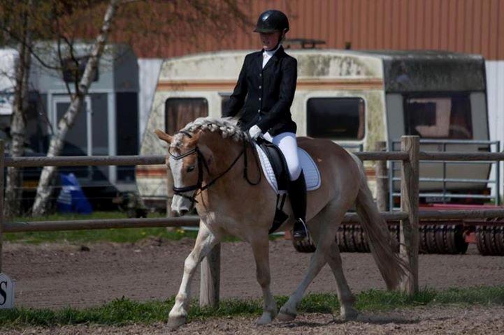 Haflinger All Star - Dressur stævne, LB1 1plads
Foto: Lykke Dybbro Andersen billede 7