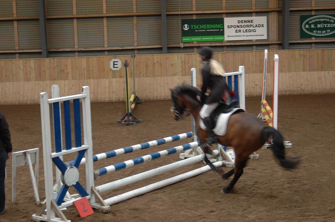 Anden særlig race Joker billede 9