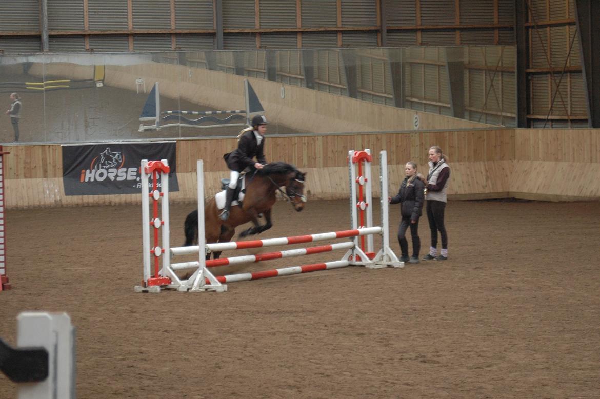 Anden særlig race Joker billede 11