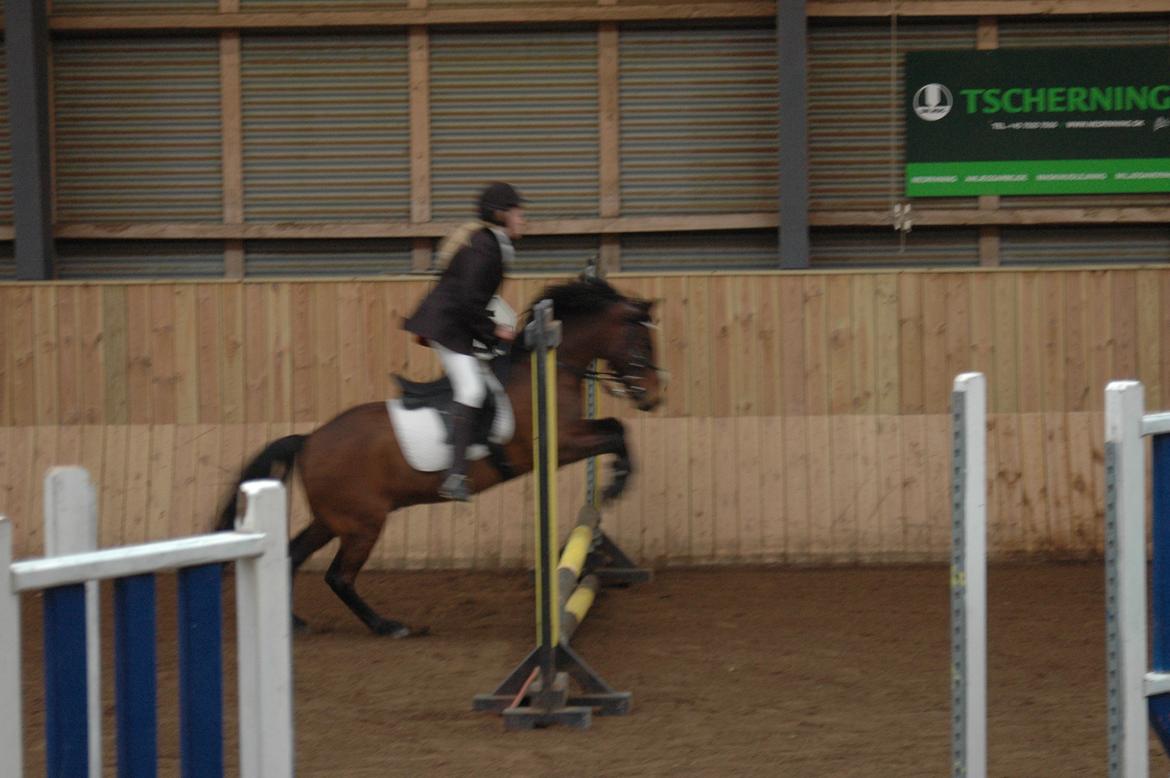 Anden særlig race Joker billede 12