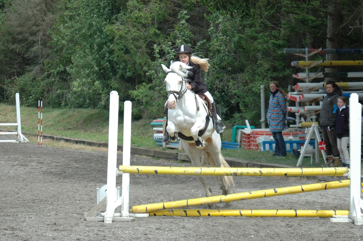 Anden særlig race Troldebo´s Bella billede 8