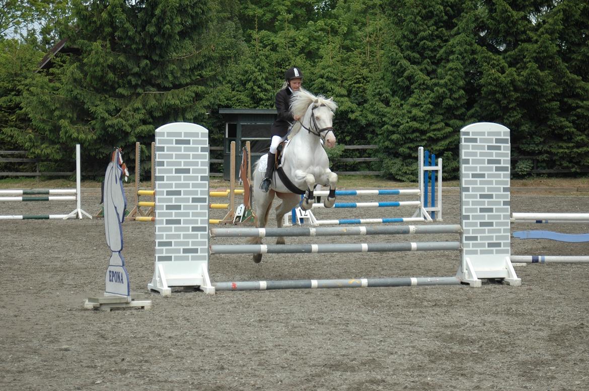 Anden særlig race Troldebo´s Bella billede 9