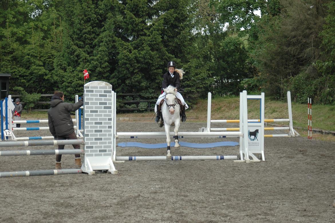Anden særlig race Troldebo´s Bella billede 10