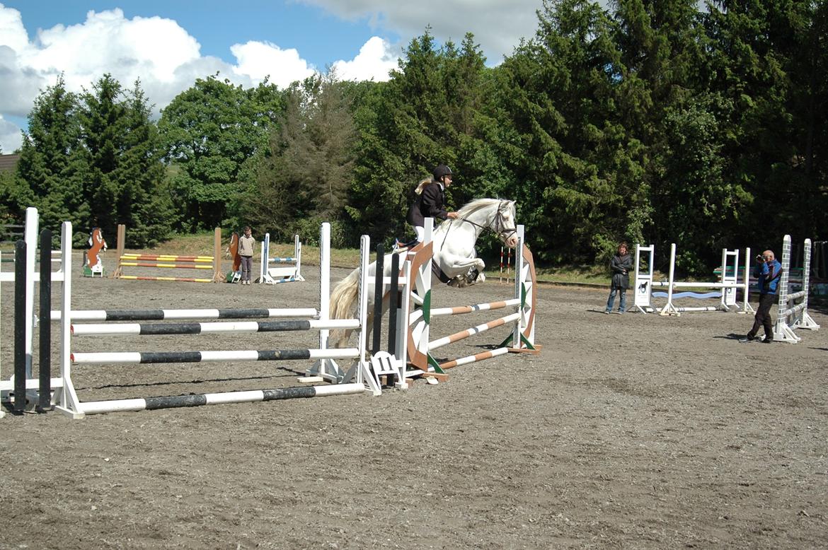 Anden særlig race Troldebo´s Bella billede 13