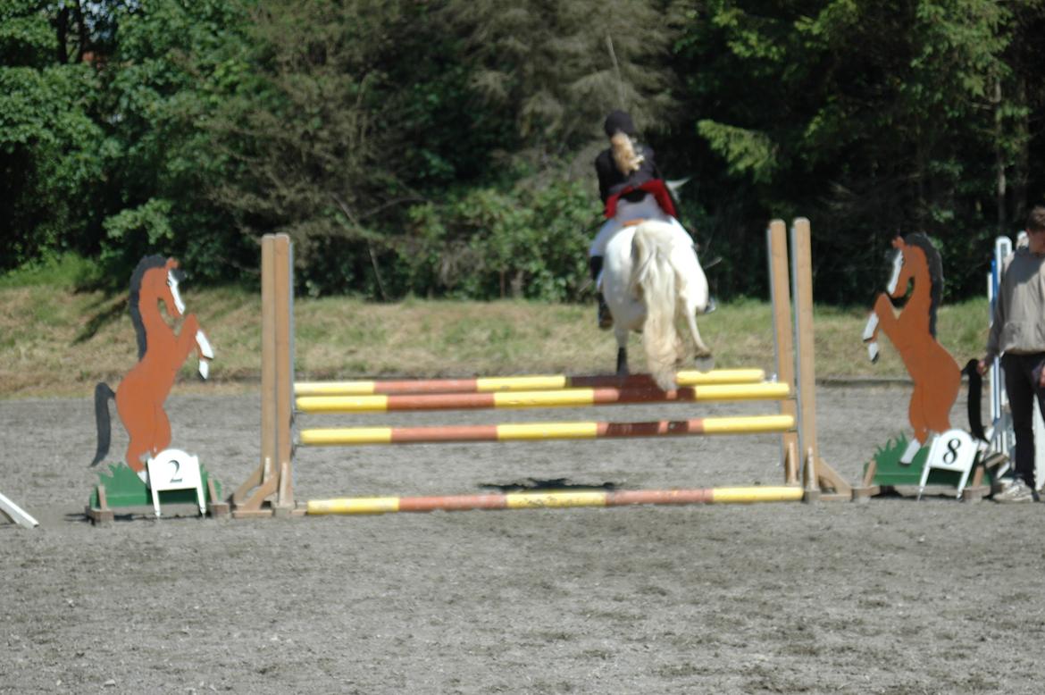 Anden særlig race Troldebo´s Bella billede 14