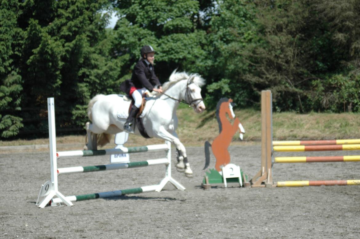 Anden særlig race Troldebo´s Bella billede 15