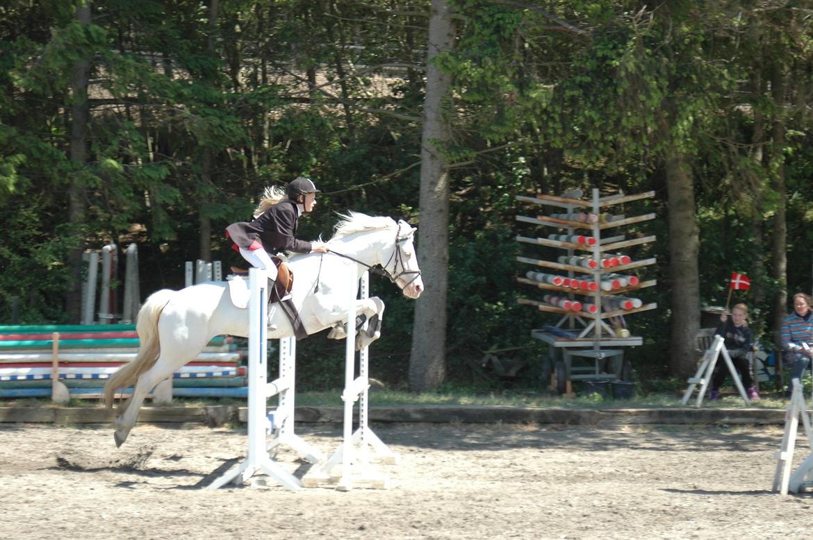 Anden særlig race Troldebo´s Bella billede 16