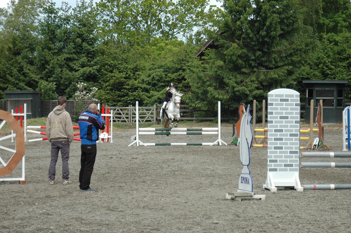 Anden særlig race Troldebo´s Bella billede 17