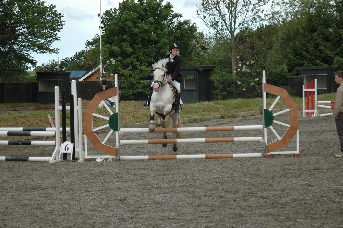 Anden særlig race Troldebo´s Bella billede 18