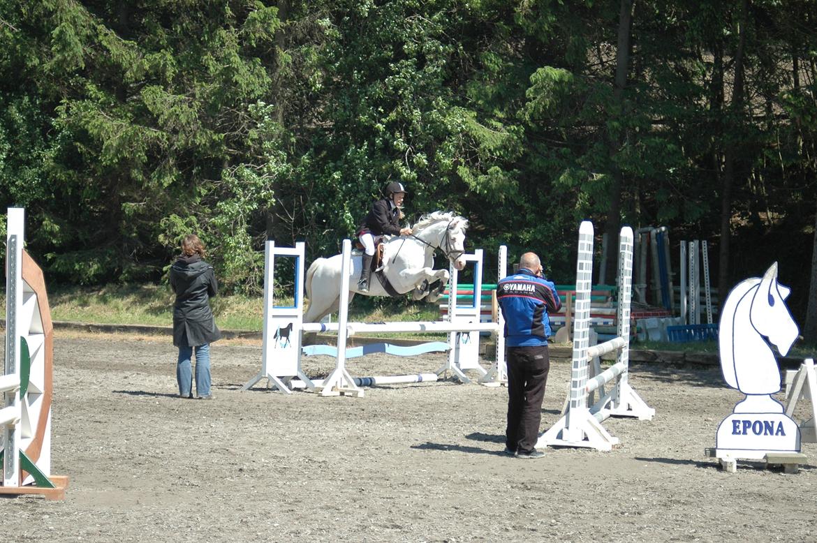 Anden særlig race Troldebo´s Bella billede 19
