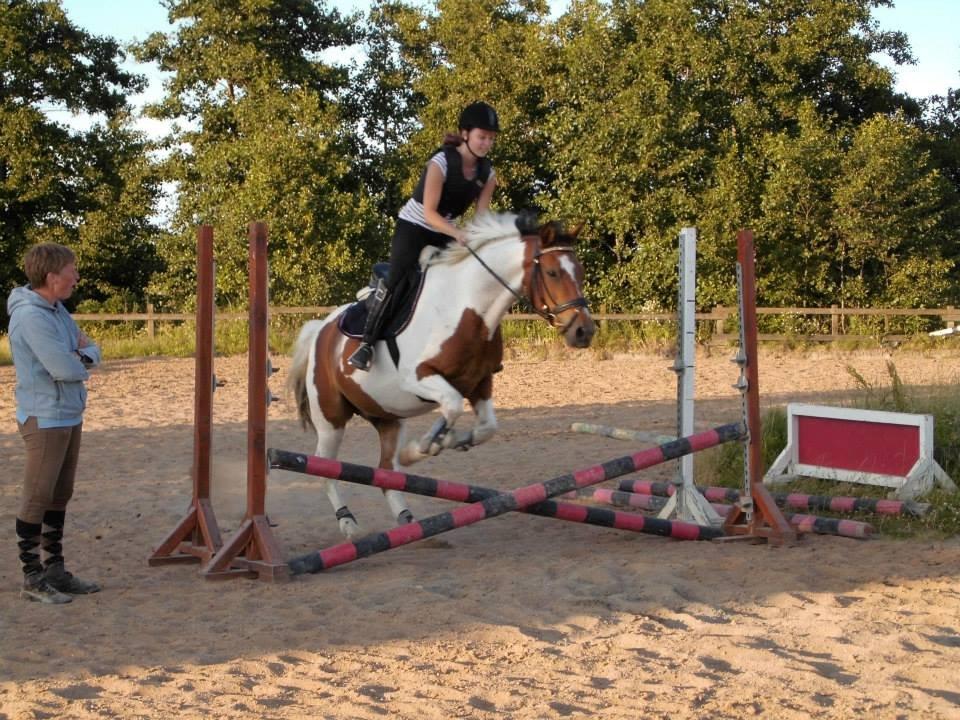 Anden særlig race Xelon - Springundervisning :-) 4. gang vi springer <3 billede 19