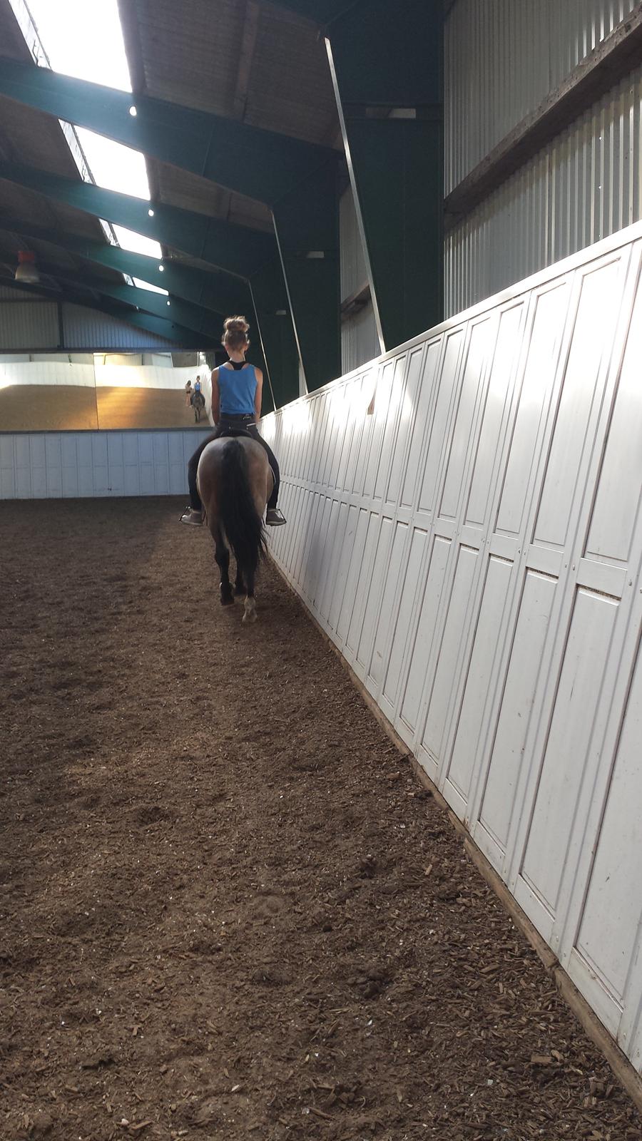 Welsh Cob (sec D) Låddenhøjs Claisson * stjerneponyen Bas * - Tak for kikket <3 billede 20