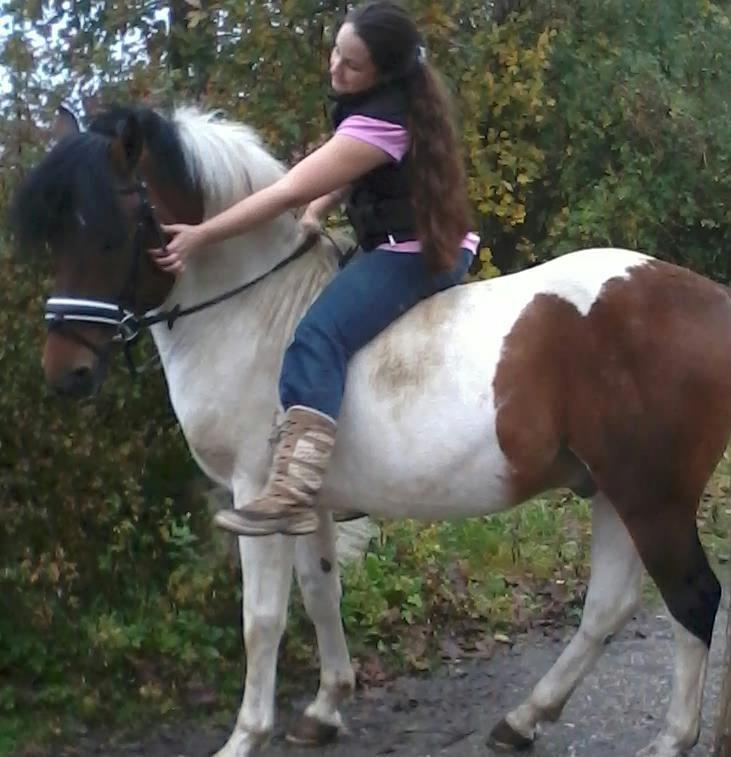 Pinto | Lotus - Gry (ejer) Og Lotus :) <3 billede 5