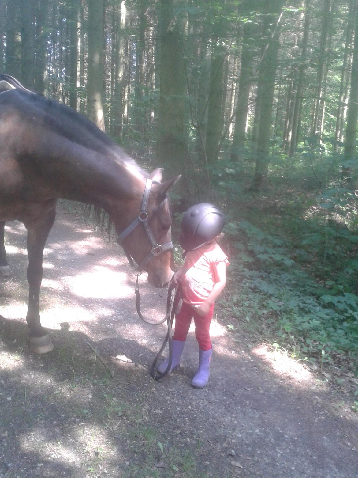 Anglo Araber (AA) Nekita *himmelhest* - "Faster Karoline jeg kan altså godt selv!"
ja min niece ved hvordan man håndtere en hest selv i en alder af 3 år billede 12