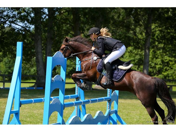 {{currentPhoto.altText}} billede {{currentPhoto.number}}