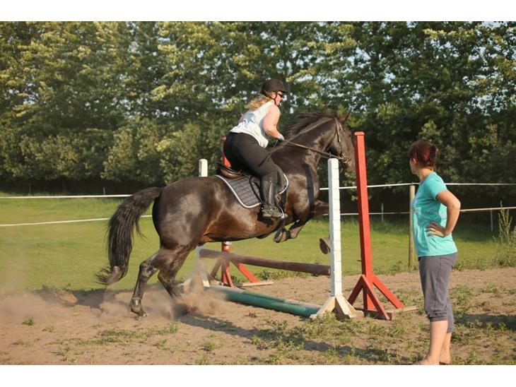 {{currentPhoto.altText}} billede {{currentPhoto.number}}