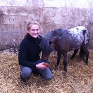 Anden særlig race Berlin