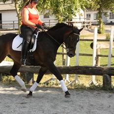 Oldenborg Quikstep af Østerholm 