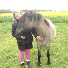 Anden særlig race Molly